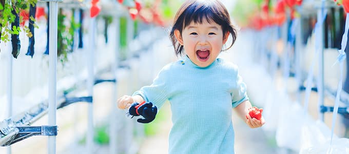 養育費確保支援事業の目的